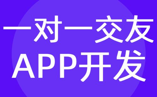 一對(duì)一交友a(bǔ)pp開發(fā) 同城社交軟件定制公司 紅匣子科技